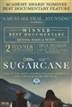 Sugarcane Poster