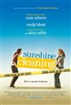 Sunshine Cleaning (v.o.a.) Movie Poster