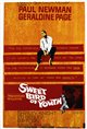 Sweet Bird of Youth Movie Poster