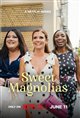 Sweet Magnolias (Netflix) Movie Poster