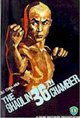 The 36th Chamber of Shaolin Poster