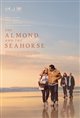 The Almond and the Seahorse Movie Poster