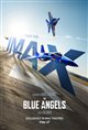 The Blue Angels: Special Edition 3D poster