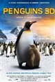 The Penguin King Poster