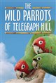 The Wild Parrots of Telegraph Hill Movie Poster