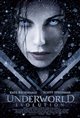Underworld: Evolution Movie Poster