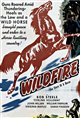 Wildfire Movie Poster