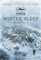 Winter Sleep Movie Poster