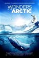 Wonders of the Arctic 3D Poster