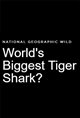 World’s Biggest Tiger Shark? Movie Poster