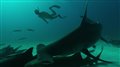 Sharkwater Extinction - Teaser Video Thumbnail