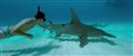 'Sharkwater Extinction' Trailer #1 Video Thumbnail