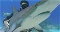 Sharkwater - Official Trailer Video Thumbnail
