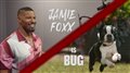 STRAYS - Jamie Foxx is Bug Video Thumbnail