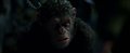 War for the Planet of the Apes Movie Clip - "I Came for You" Video Thumbnail