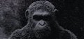 War for the Planet of the Apes - Official Teaser Trailer Video Thumbnail