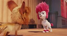 100% WOLF Trailer Video