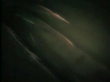21 Grams Trailer Video