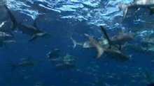 24minMakingOfsharkwater_ Video