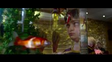 A Brilliant Young Mind Trailer Video