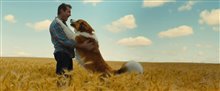 'A Dog's Journey' Trailer Video