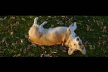 A Dog's Purpose Movie Clip - 