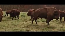 Alone Yet Not Alone Trailer Video