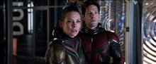 'Ant-Man and The Wasp' Trailer #2 Video