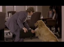 BAILEY'S BILLIONS Trailer Video