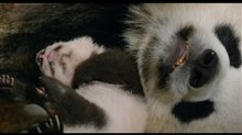 Born in China Movie Clip - 