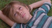 Boyhood Trailer Video