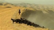 Buzkashi! Trailer Video