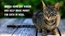 CATVIDEOFEST 2024 Trailer Video