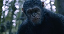Dawn of the Planet of the Apes movie clip - Go Video