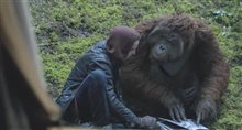 Dawn of the Planet of the Apes movie clip - Hanging Out Video