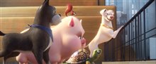DC LEAGUE OF SUPER-PETS Trailer 2 Video