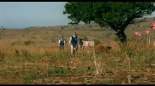 Diana Trailer Video