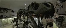 Dinosaur 13 Trailer Video