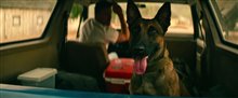 DOG - Road Dogs Video