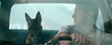 DOG Trailer Video