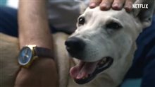 DOGS - Season 2 Trailer Video
