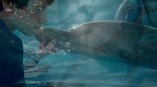 Dolphin Tale 2 Trailer Video
