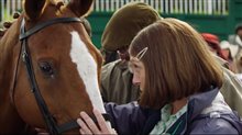 DREAM HORSE Trailer Video