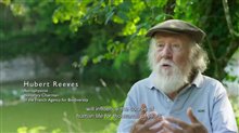 Earth: Seen from the Heart - Trailer Video