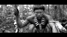 Embrace of the Serpent Trailer Video