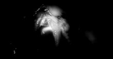 Eraserhead Trailer Video