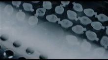 Errors of the Human Body Trailer Video