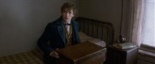 Fantastic Beasts and Where to Find Them Announcement Trailer Video