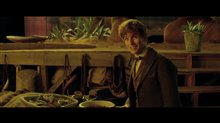 Fantastic Beasts and Where to Find Them Featurette - A New Hero Video