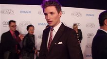 Fantastic Beasts and Where to Find Them Featurette - Red Carpet Premiere Video